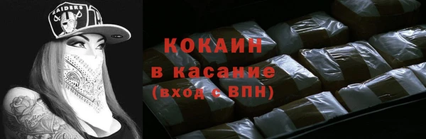 гашик Аркадак