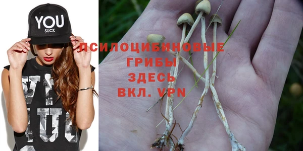 мдпв Арсеньев